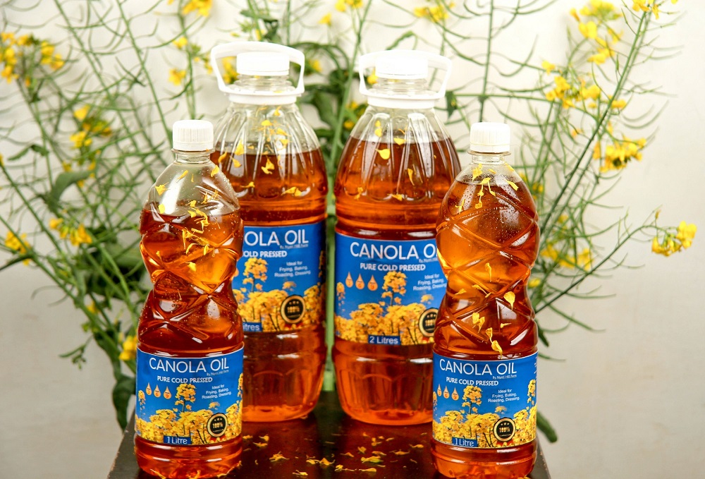 canora oil